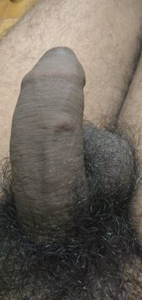 RATE MY COCK !