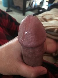 Hubbys precum dripping from his penis