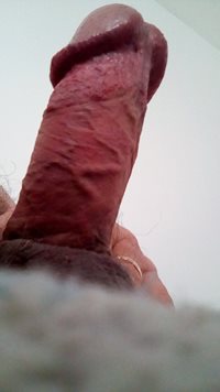 who would like to see this cock on their picture?   PM me
