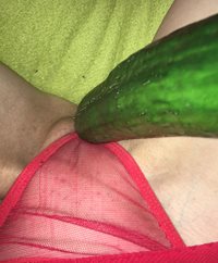 Cucumber at the ready