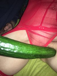 Cucumber at the ready