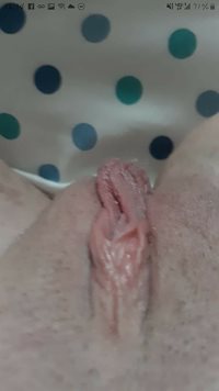The wife's sweet pussy
