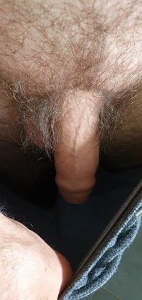 Just felt like posting a picture of my dick. So I did