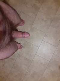 My horny dick looking for any female to fuck!