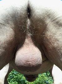 My butt and balls
