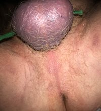 Tied off balls and cock horny load ready to explode