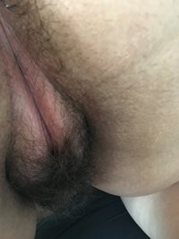 Just showing my 25 year old hairy pussy hope you all like
