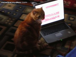 Internet pussy!