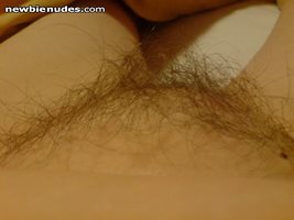 WIFE'S HAIRY PUSSY, NOT DENSE BUT LONG HAIR THAT HAS NEVER BEEN NEAR A RAZO...