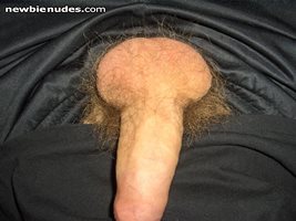 My hairy dick