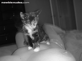 My pussy in black and white