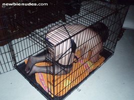 Slut pig getting in her cage with butt plug duct taped up her ass