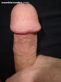 NN closeup of my pierced circumcised dick