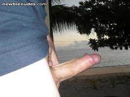 cock on holiday