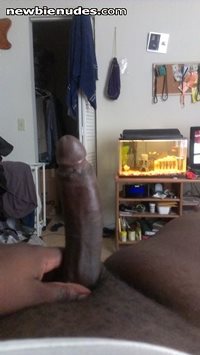 Looking to play with it just pm me
