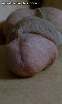 cock