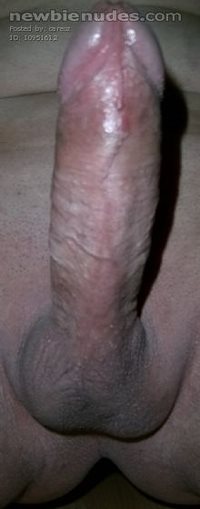 A close up.  Enough veins for you?