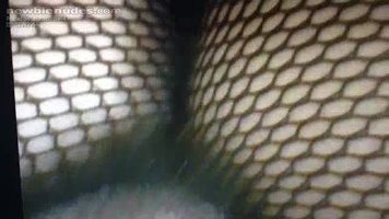 Wife's load moaning orgasm on thrusting jackrabbit loves comments