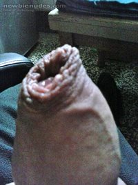 Foreskin show...come and chew it !