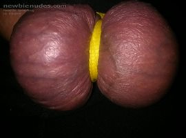 My balls for you...take them...girls and boys