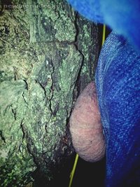 rubbing my left testes around trees leaving my scent...again...if you want ...