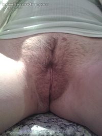 my wife asks if you like this hairy shot of her cunt? thanks guys love your...