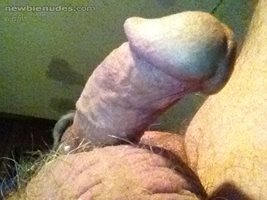 My cock says hello...say hello back!