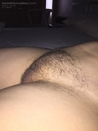 my wife's pussy