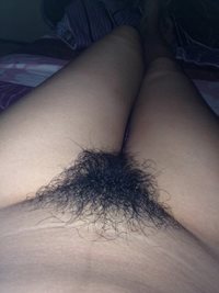 My GF's two months of not shaving or trimming her bush.