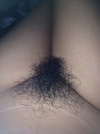 My GF is going for the longest bush hair! All the bush lovers please encour...