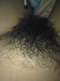 "Hairy Asian bush"